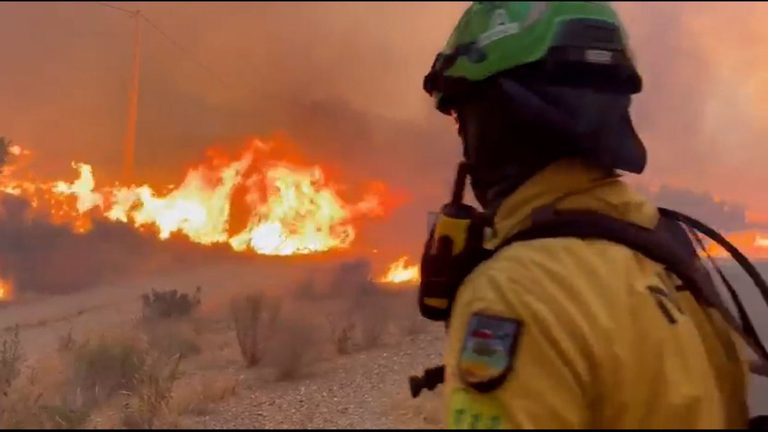 Wildfires In Spain Kill 11
