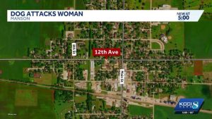Woman Attacked By Unitypoint K 9 In Manson