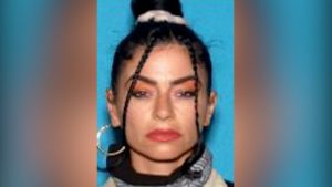 Woman Charged In Santa Monica Attempted Kidnapping Missing