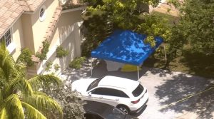 Woman Dies In Miramar Mango Tree Fall