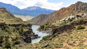 Yellowstone Prepares For July 4