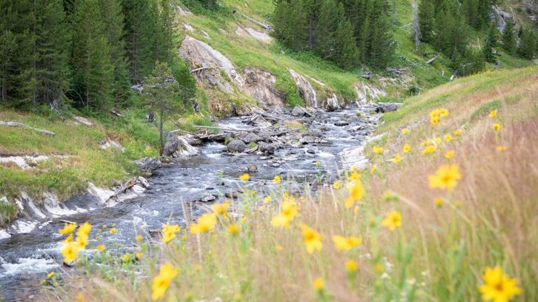 Yellowstone Rivers Closed To Afternoon Fishing