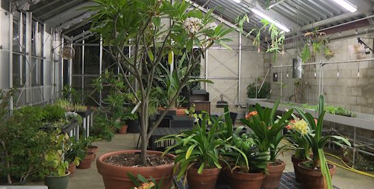 Yew Dell Botanical Gardens Offers Summer Activities