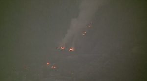 Zebra Fire Burns In Angeles National Forest