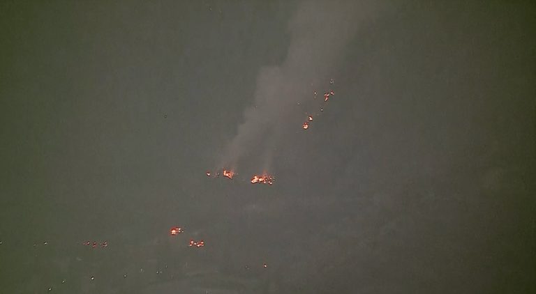 Zebra Fire Burns In Angeles National Forest
