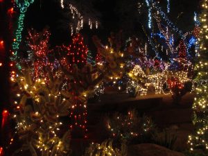 Ethel M Chocolates Factory and Botanical Cactus Garden — Henderson
