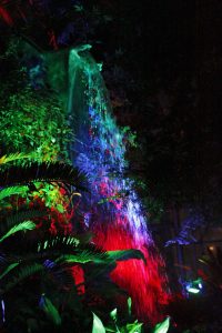 Buffalo and Erie County Botanical Gardens — Buffalo