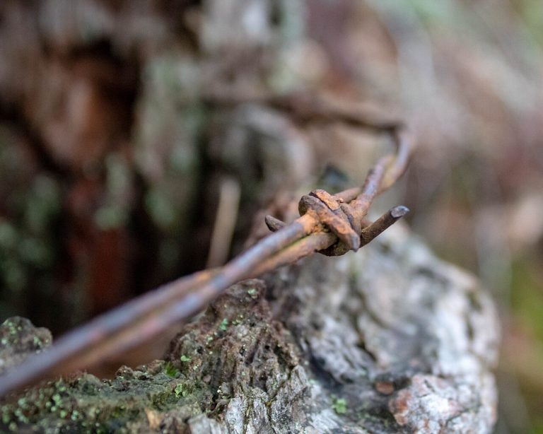 Mount Pisgah Arboretum — Eugene