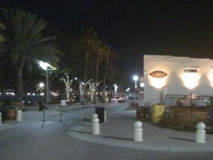 Narcissus Restaurant — West Palm Beach