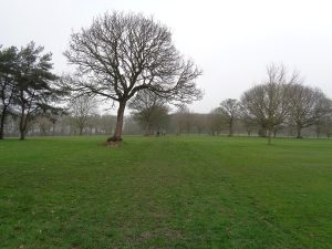 Bradford Country Club Golf Course — Bradford