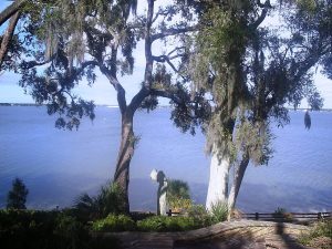 Philippe Park — Tampa Bay