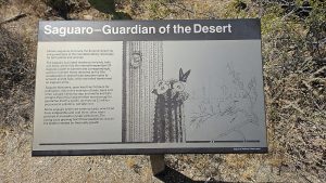 Palos Verdes Park — Mesquite