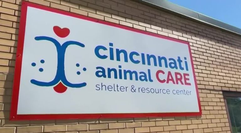 150 Animals Seized From Home