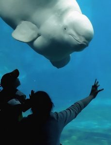 Float On Adventures — Vancouver