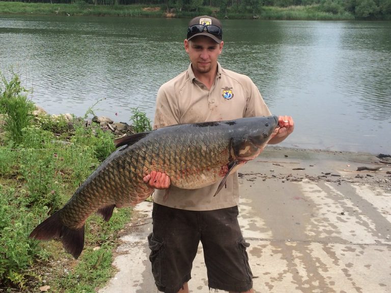 Calumet Fisheries — Chicago