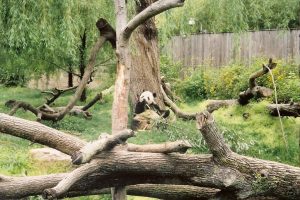 Smithsonian National Zoo & Conservation Biology Institute — Washington D.C.
