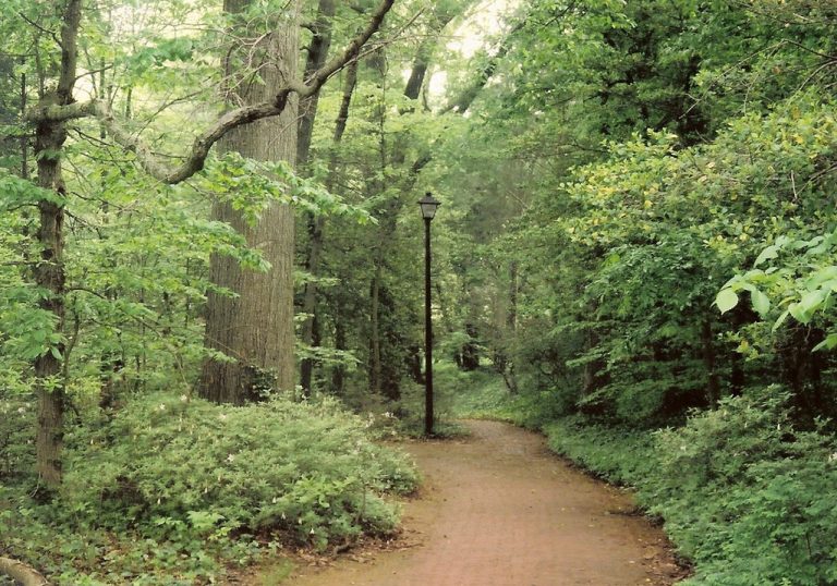 Mount Vernon Trail — Alexandria