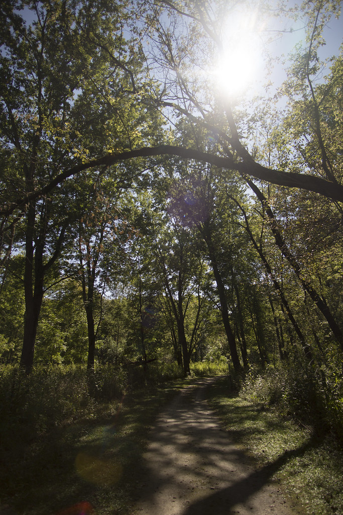 From Dump to Discovery: Toledo's Former Waste Site Opens as Pontiac Preserve Nature Park