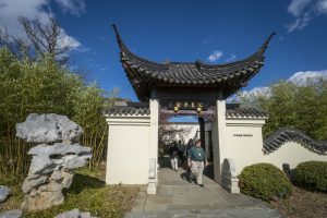 National Bonsai & Penjing Museum at the U.S. National Arboretum — Washington D.C.