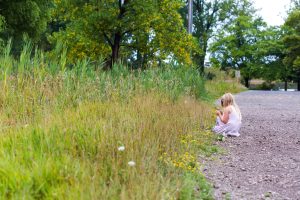 Tifft Nature Preserve — Buffalo
