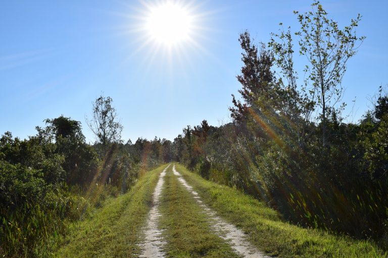 Moss Park — Orlando