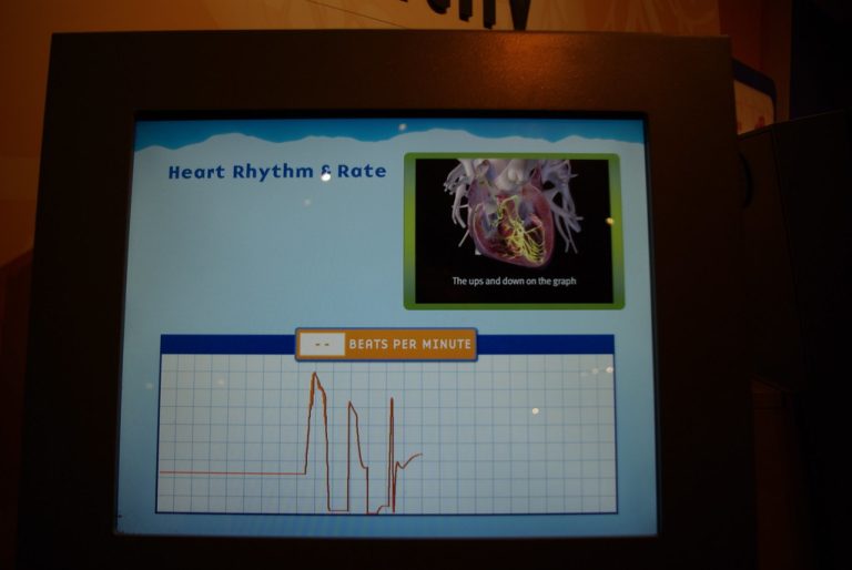 Denver Museum of Nature & Science – Expedition Health — Denver