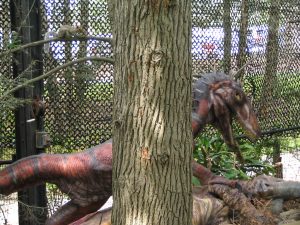 Franklin Park Zoo — Boston