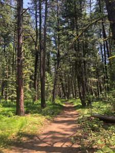 Rattlesnake National Recreation Area and Wilderness — Missoula