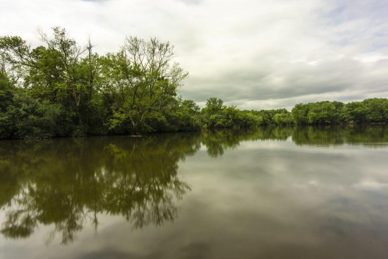 Red Oak Nature Center — Aurora