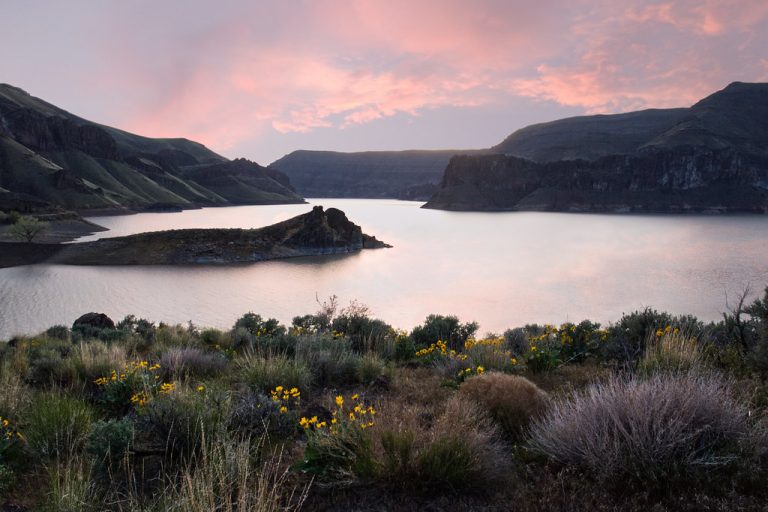 The Owyhee — Boise