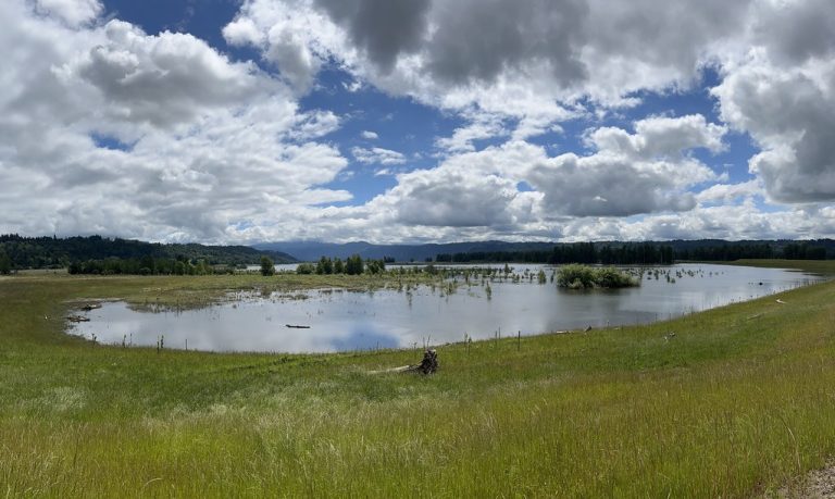 Steigerwald Lake National Wildlife Refuge — Vancouver