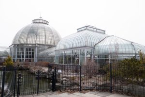 Anna Scripps Whitcomb Conservatory — Detroit