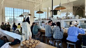 Radhaus — San Francisco