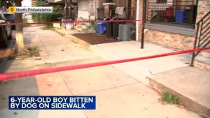 6 Year Old Boy And Girl Injured In Separate Dog Bite Incidents In North Philadel