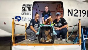 60 At Risk Pets Rescued In Airlift