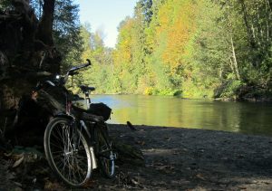 Renton Bike Park — Renton