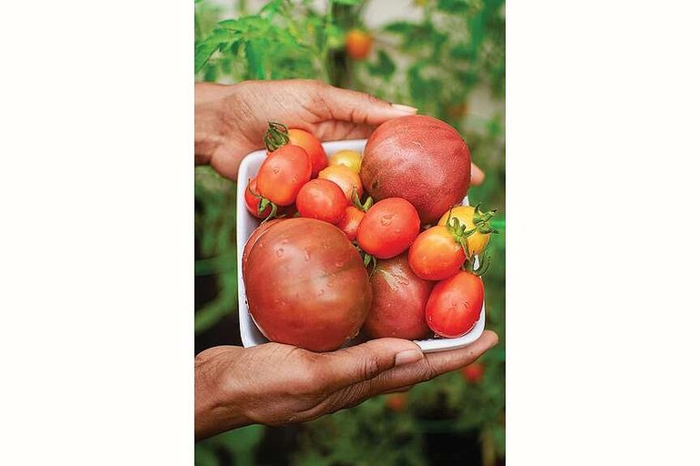 7 Ways To Enjoy Tomatoes
