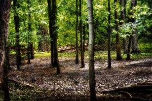 Swan Creek Metropark — Toledo