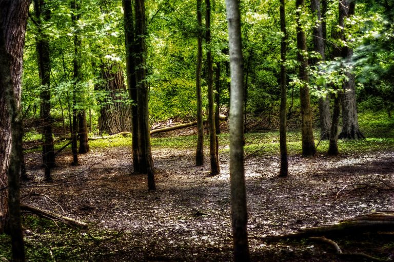 Swan Creek Metropark — Toledo