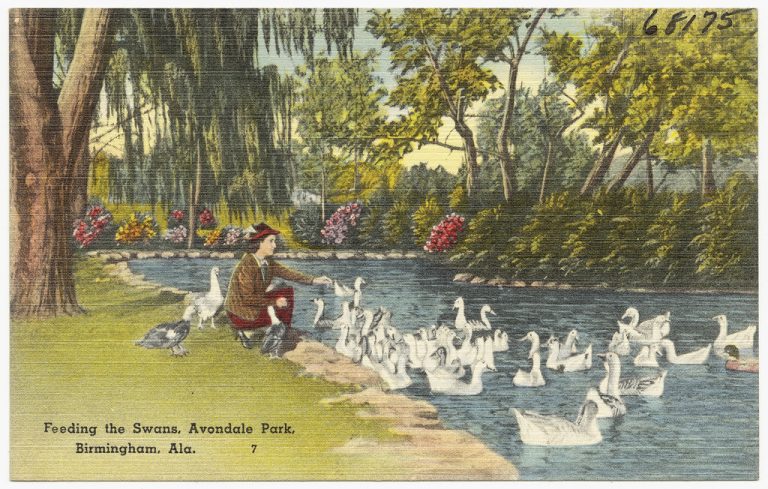 Avondale Park — Birmingham