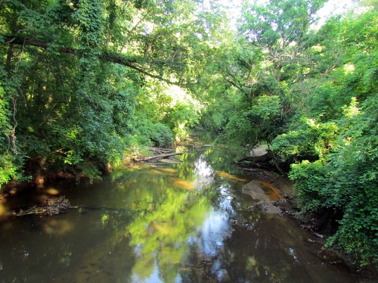 Crabtree Creek Greenway — Raleigh