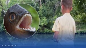 8 Year Old Catches Piranha In Pennsylvania Lake