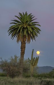 Saguaro Lake — Phoenix
