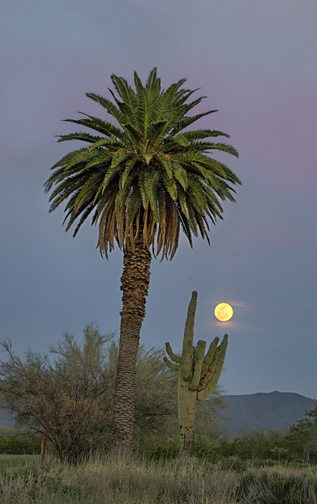 Saguaro Lake — Phoenix