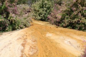 Pinkerton Hot Springs — Durango