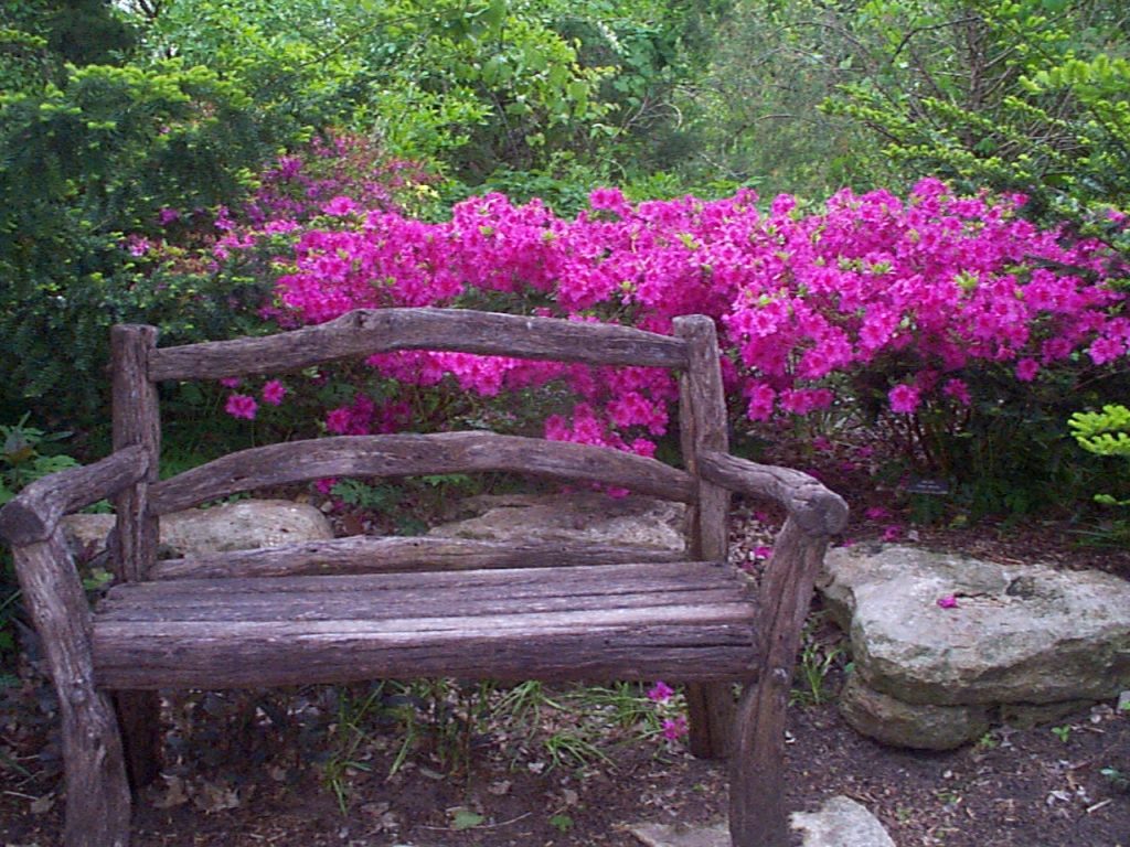 Botanica Wichita – The Wichita Gardens — Wichita