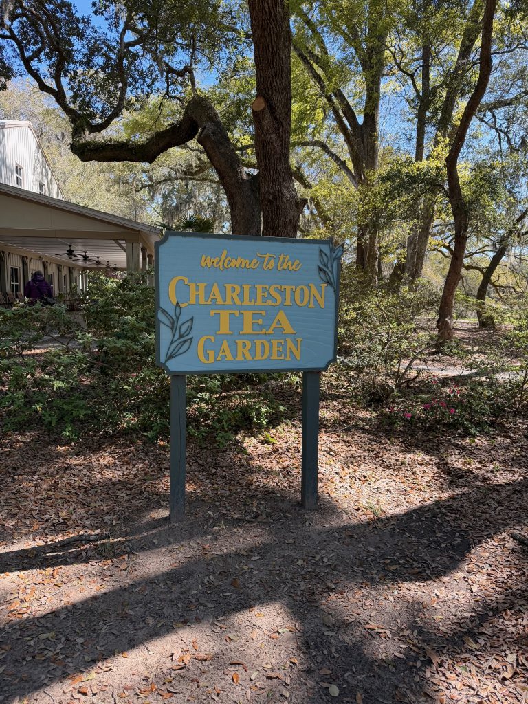 Charleston Tea Garden — Charleston