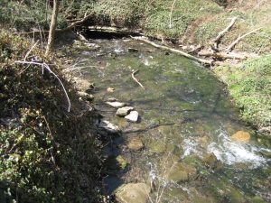 McConnell Springs — Lexington