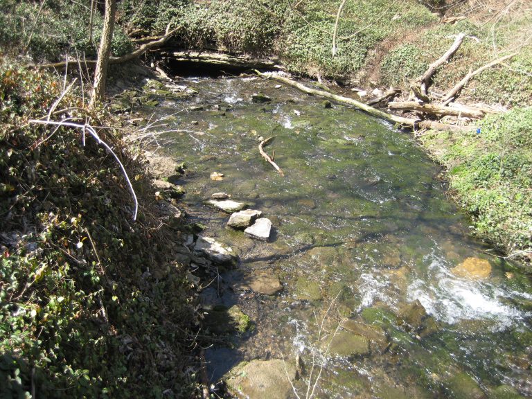 McConnell Springs — Lexington
