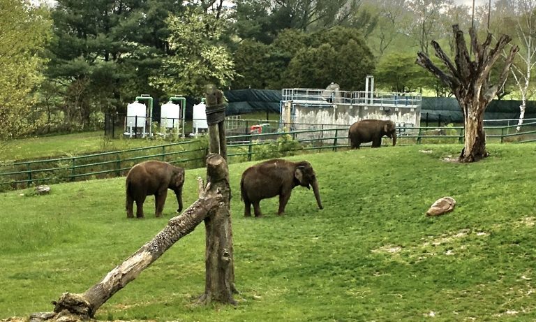 Rosamond Gifford Zoo — Syracuse